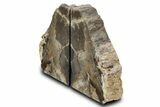 Petrified Wood (Oak) Bookends - Oregon #382147-2